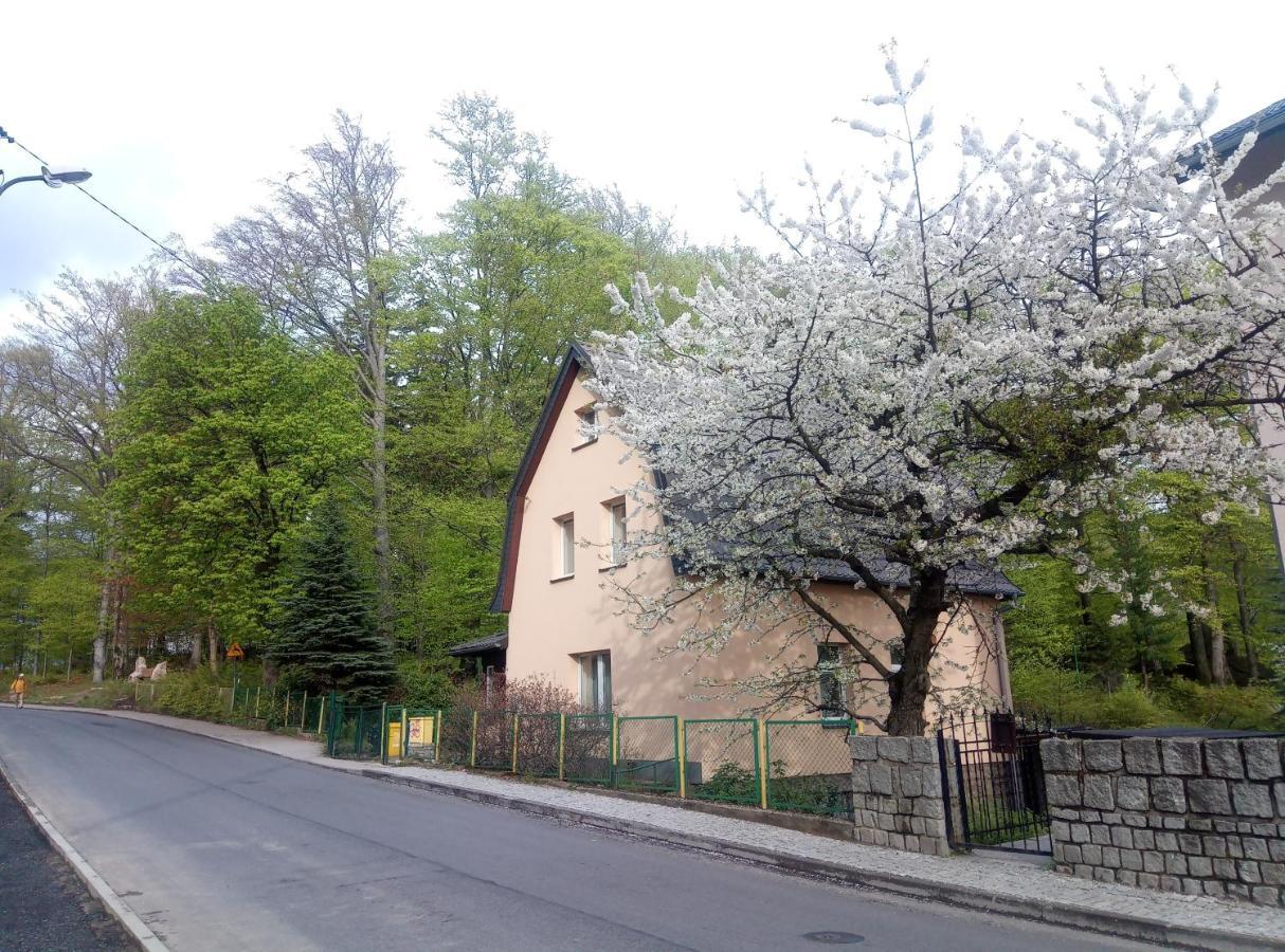 Willa Rozalia Szklarska Poreba Exterior photo